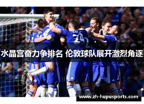 水晶宫奋力争排名 伦敦球队展开激烈角逐 水晶宫奋力争排名 伦敦球队展开激烈角逐
